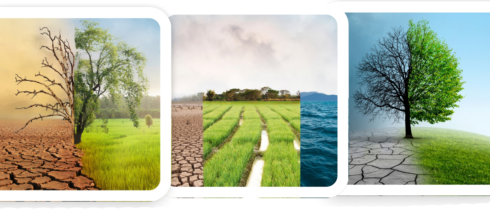 Sustainability