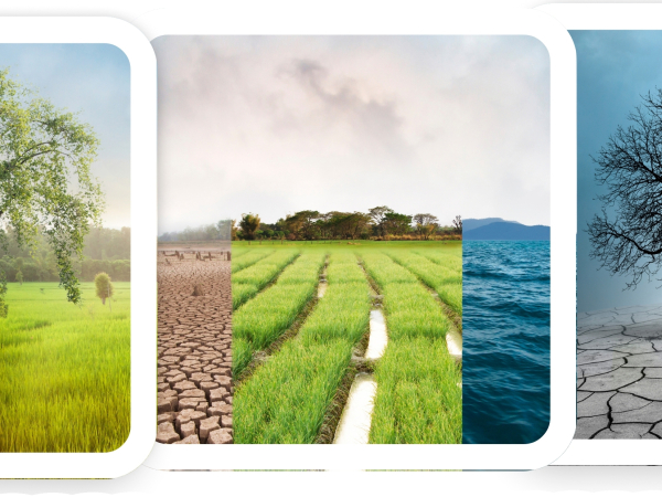 Sustainability